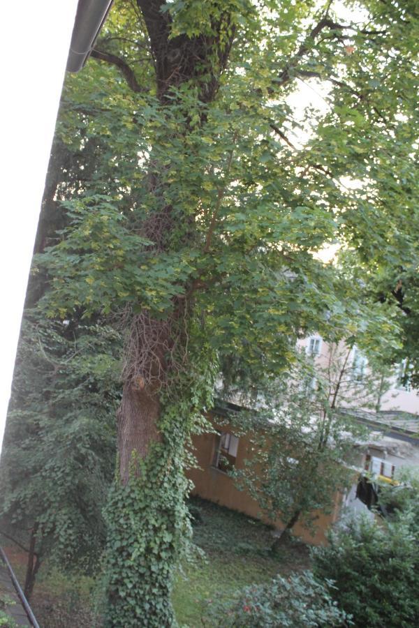 Mozart'S Garden Villa 잘츠부르크 외부 사진